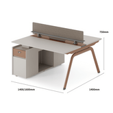 Galaxy-A Modern Metal Frame Office Desk Workstation with Storage Cabinet